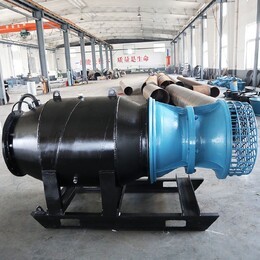 遼寧營(yíng)口潛水貫流泵價(jià)格實(shí)惠