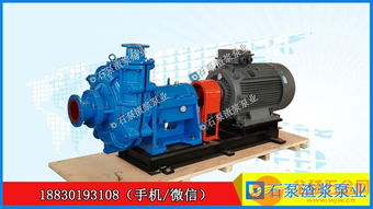 100zjg i b42渣漿泵尾礦泵洗煤廠渣漿泵廠家