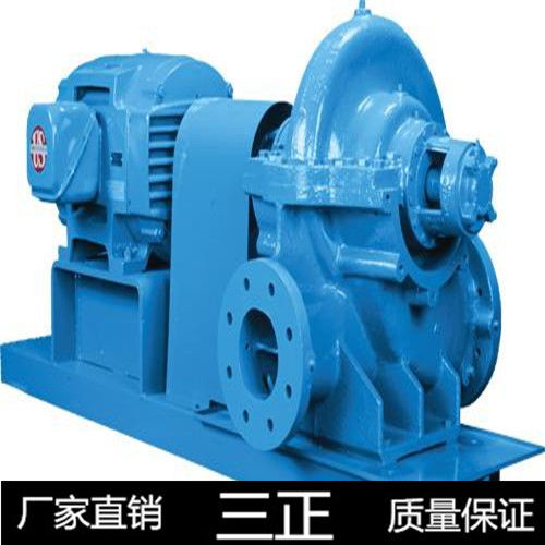 電廠專用S型雙吸泵與臥式全貫流泵的卓越解決方案——三正公司工廠排污應用