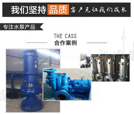 煙氣循環(huán)脫硫泵與臥式全貫流泵的技術(shù)應(yīng)用——以吉林華奧水泵廠為例