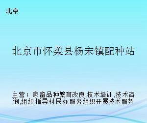 懷柔畜牧技術(shù)服務(wù)站 深化配種技術(shù)咨詢，助力鄉(xiāng)村振興